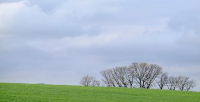 Ver en Mollet del Vallés